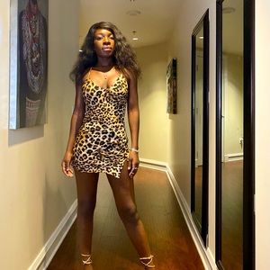 Princess Polly dress